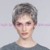 Изображение Risk Sensitive II