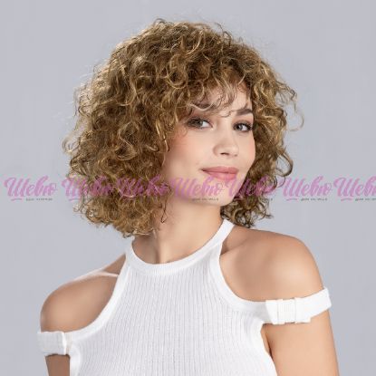 Изображение Disco